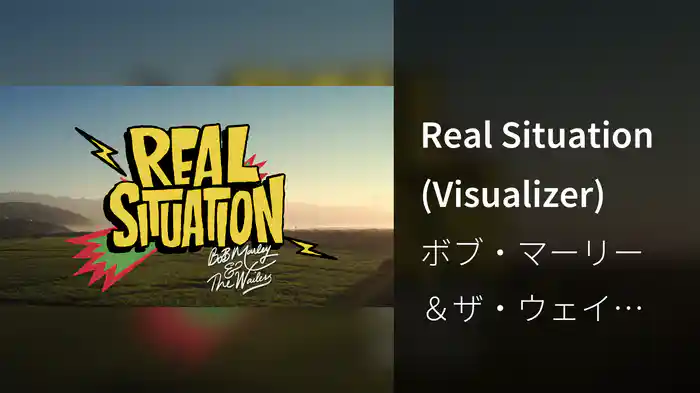 Real Situation (Visualizer)