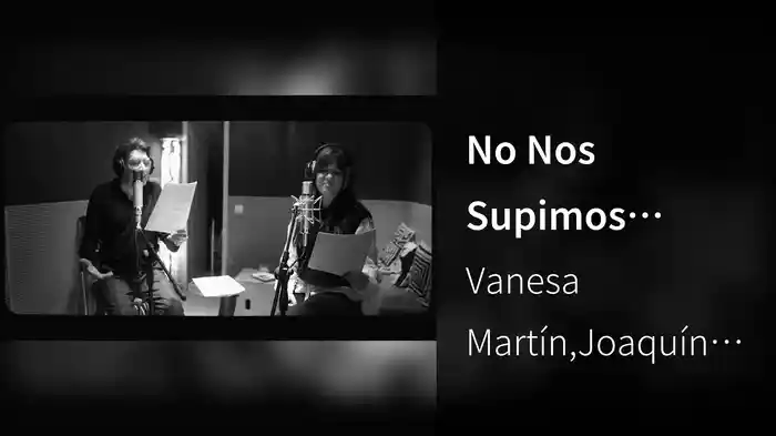 No Nos Supimos Querer