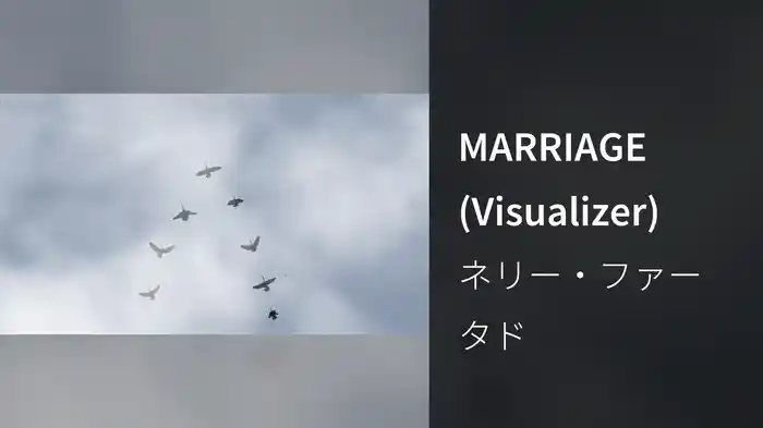 MARRIAGE (Visualizer)
