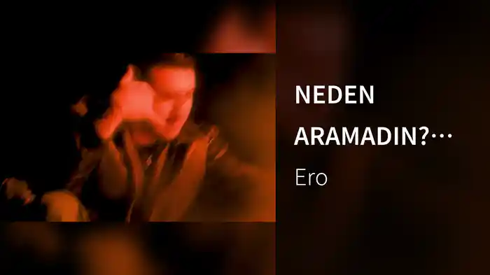 NEDEN ARAMADIN? (Lyric Video)