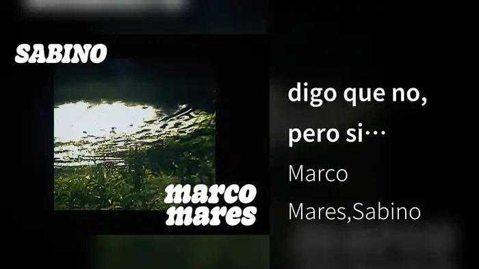 digo que no, pero si (Lyric Video)