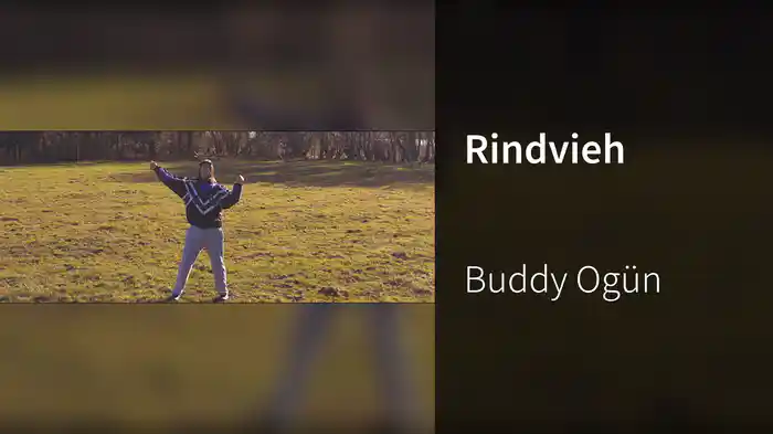 Rindvieh