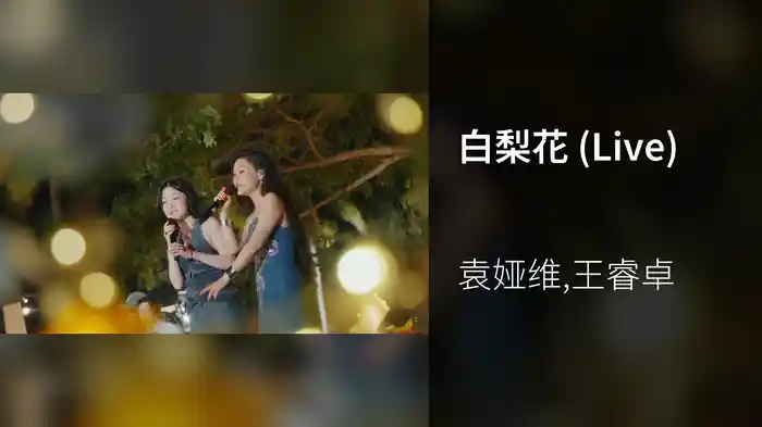 白梨花 (Live)