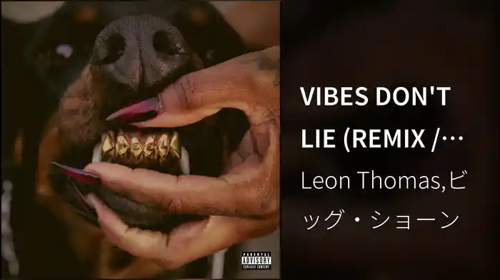 VIBES DON'T LIE (REMIX / Audio)