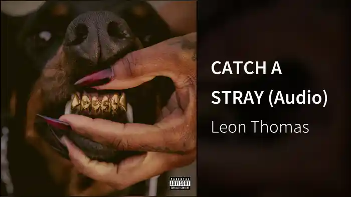 CATCH A STRAY (Audio)