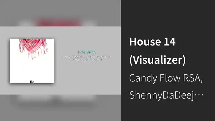 House 14 (Visualizer)