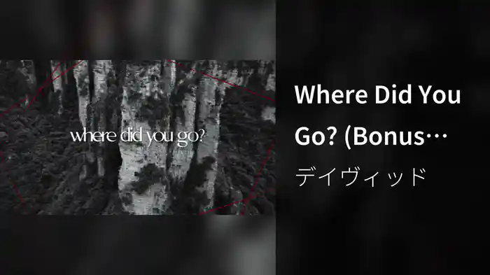 Where Did You Go? (Bonus Track/Lyric Video)
