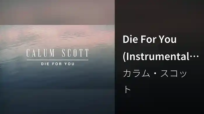 Die For You (Instrumental Lyric Video)