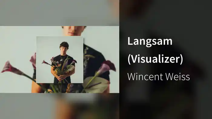 Langsam (Visualizer)
