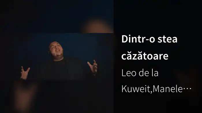 Dintr-o stea căzătoare