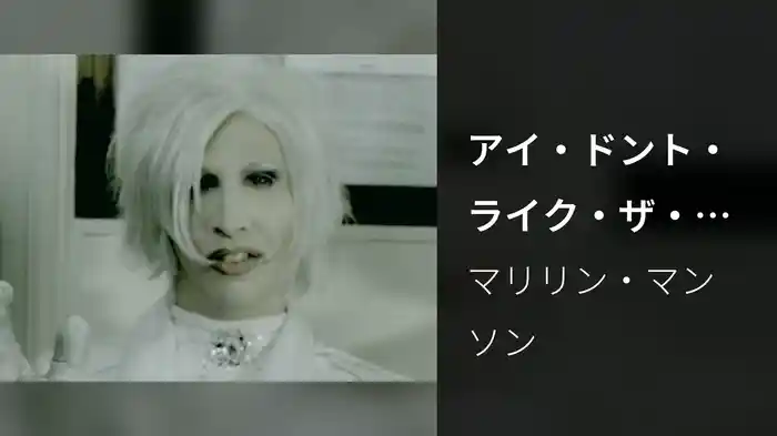 アイ・ドント・ライク・ザ・ドラッグス（バット・ザ・ドラッグス・ライク・ミー）