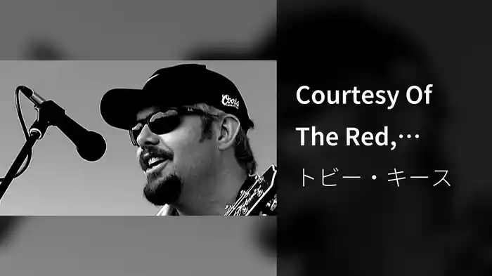 Courtesy Of The Red, White And Blue (The Angry American)