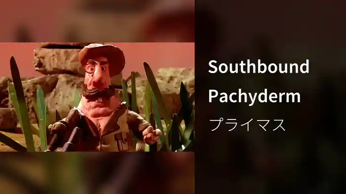 Southbound Pachyderm