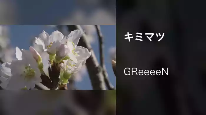キミマツ