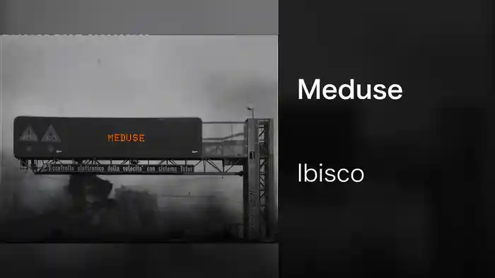 Meduse