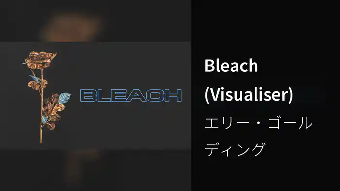 Bleach (Visualiser)