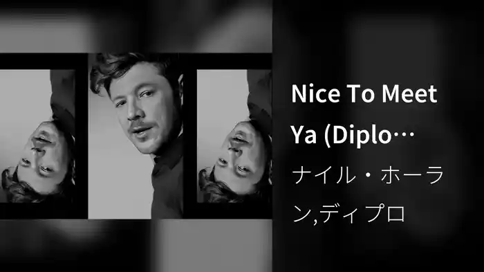 Nice To Meet Ya (Diplo Remix)