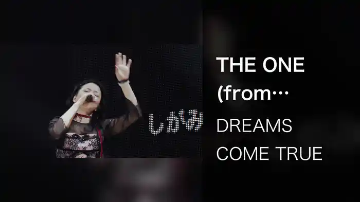 THE ONE (from WINTER FANTASIA 2010 Live Ver.)