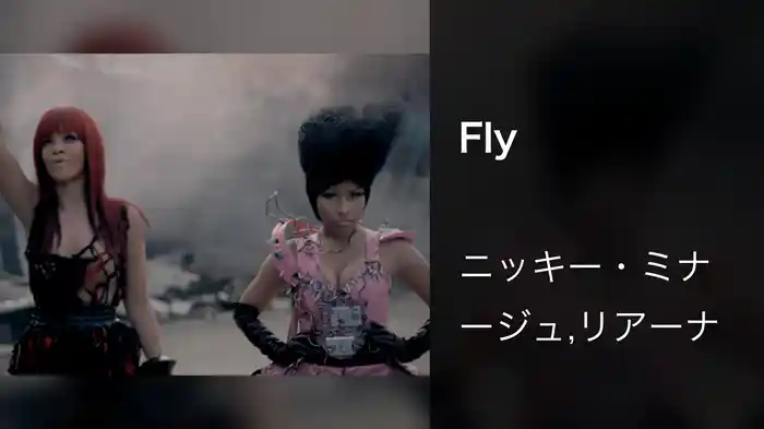 Fly