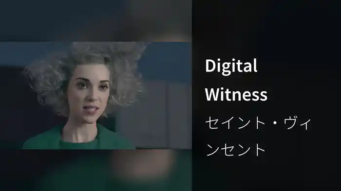 Digital Witness