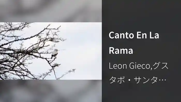 Canto En La Rama