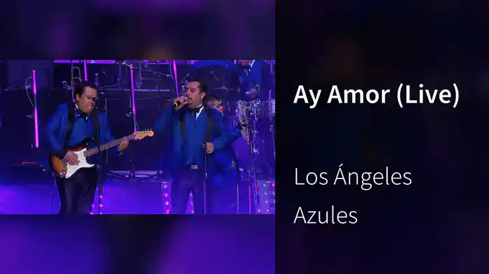 Ay Amor (Live)