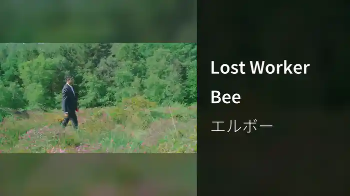 Lost Worker Bee