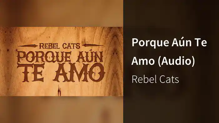 Porque Aún Te Amo (Audio)