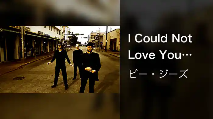 I Could Not Love You More