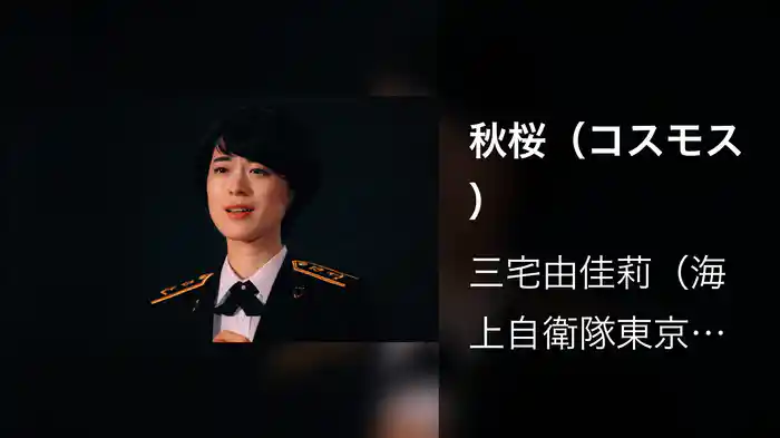 秋桜（コスモス）