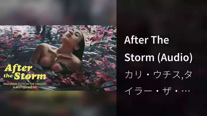 After The Storm (Audio)