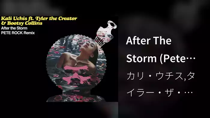 After The Storm (Pete Rock Remix / Audio)