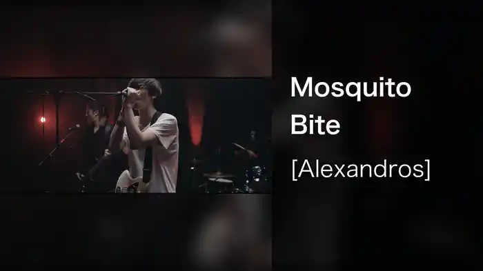 Mosquito Bite
