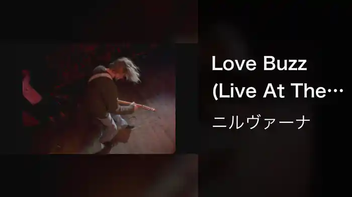 Love Buzz (Live At The Paramount, Seattle / 1991)