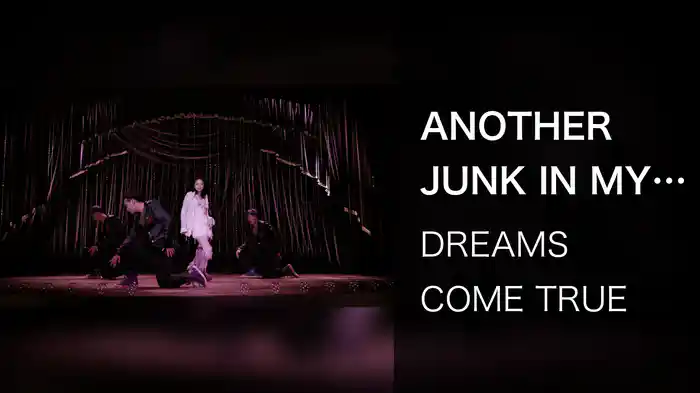 ANOTHER JUNK IN MY TRUNK