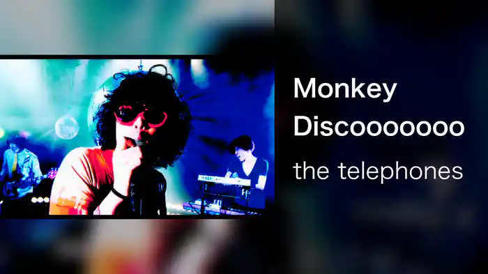 Monkey Discooooooo