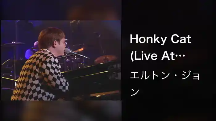 Honky Cat (Live At Estadio Do Flamengo, Rio De Janeiro, Brazil / 1995)