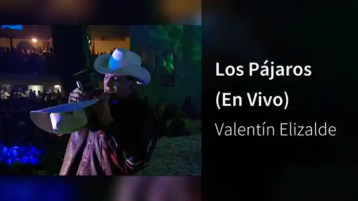 Los Pájaros (En Vivo)