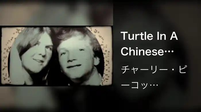 Turtle In A Chinese Food Box