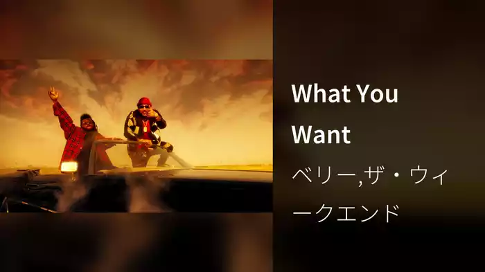 What You Want