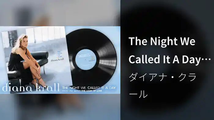 The Night We Called It A Day (Visualizer)