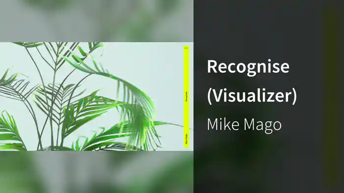 Recognise (Visualizer)