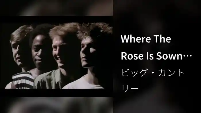 Where The Rose Is Sown (Video-Stereo)