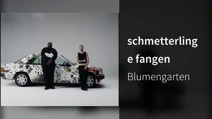 schmetterlinge fangen