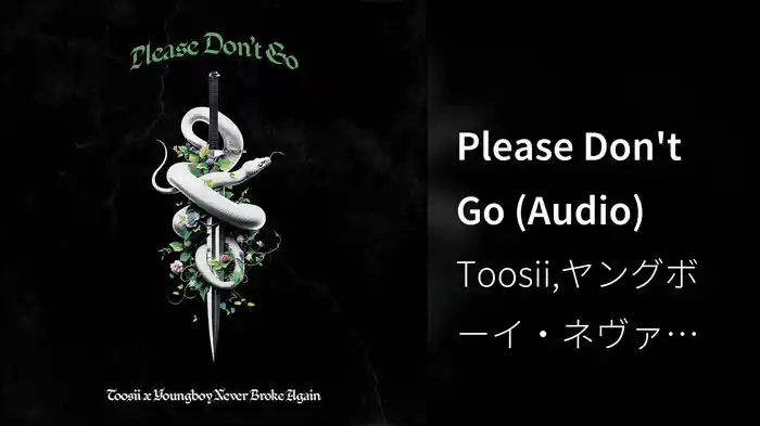 Please Don't Go (Audio)