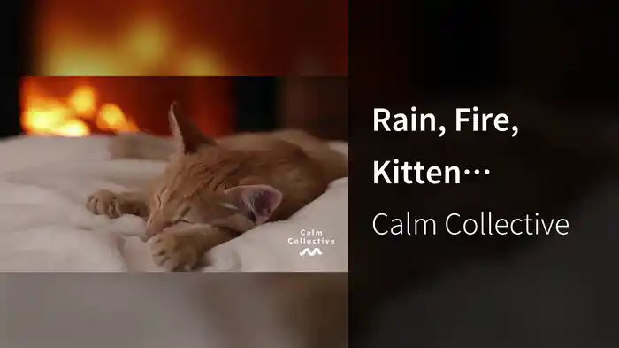 Rain, Fire, Kitten (Visualiser)