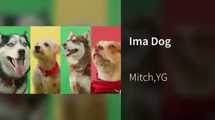 Ima Dog