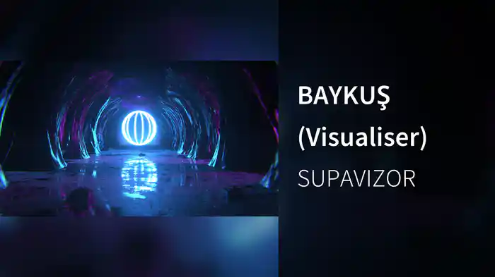 BAYKUŞ (Visualiser)