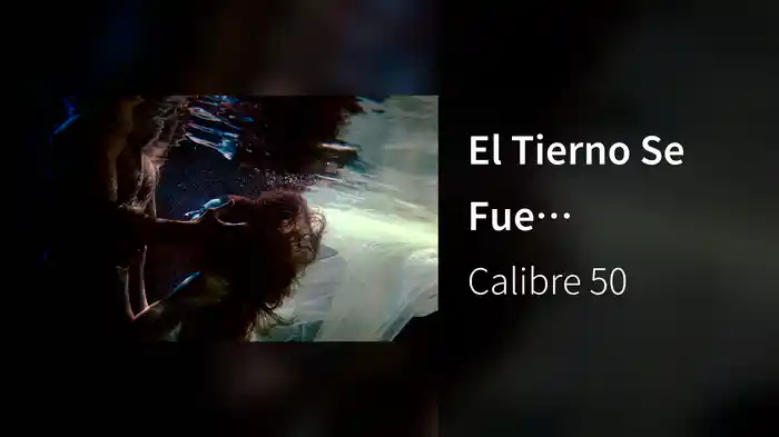 El Tierno Se Fue (Visualizer)
