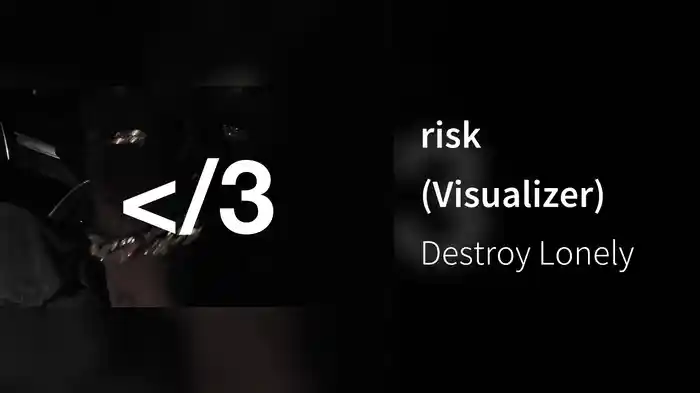 risk (Visualizer)
